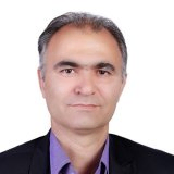دکتر شاهرخ مکوند حسینی دانشیار گروه روانشناسی، دانشگاه سمنان