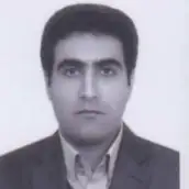 دکتر اکبر مجیدی استادیار گروه علم اطلاعات و دانش شناسی، دانشگاه تبریز