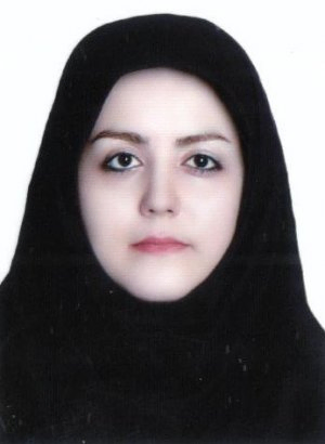 دکتر سمیه ملایی استادیار گروه مهندسی عمران، دانشگاه بناب