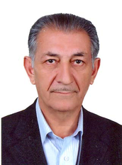 پروفسور مصطفی ولیزاده 