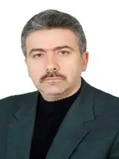 دکتر سید مصطفی حسین علی پور 