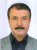 دکتر سیدباقر میرعباسی استاد، دانشکده حقوق و علوم سیاسی، دانشگاه تهران