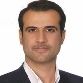 دکتر حسین صفری استاد تمام، گروه مدیریت صنعتی، دانشکده مدیریت، دانشگاه تهران