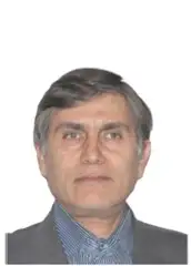 دکتر صلاح کوچک زاده استاد، دانشکده مهندسی و فناوری کشاورزی دانشگاه تهران