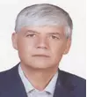 دکتر حبیب اله احمدی استاد، گروه جامعه شناسی، دانشگاه شیراز، شیراز، ایران
