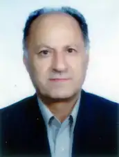 سیدجواد  میرمحمد صادقی 