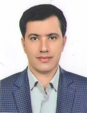 دکتر حامد جوادی عضو هیئت علمی- دانشیار پژوهشی دکتر حامد جوادی عضو هیئت علمی- دانشیار پژوهشی