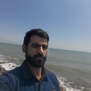 دکتر حسنعلی ترنج پژوهشگر مستقل دکتر حسنعلی ترنج پژوهشگر مستقل