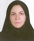 پروین رجبی استاد دانشگاه اصفهان پروین رجبی استاد دانشگاه اصفهان