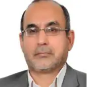 دکتر بهروز مینایی بیدگلی استادیار، دانشگاه علم وصنعت، ایران دکتر بهروز مینایی بیدگلی استادیار، دانشگاه علم وصنعت، ایران