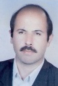 دکتر حسن امامی استادیار گروه ادبیات و علوم انسانی دانشگاه بیرجند دکتر حسن امامی استادیار گروه ادبیات و علوم انسانی دانشگاه بیرجند