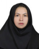 دکتر زینب نوروزی دانشیار گروه ادبیات و علوم انسانی دانشگاه بیرجند دکتر زینب نوروزی دانشیار گروه ادبیات و علوم انسانی دانشگاه بیرجند