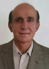 دکتر محمدرضا امین ناصری استاد مهندسی صنایع- دانشگاه تربیت مدرس دکتر محمدرضا امین ناصری استاد مهندسی صنایع- دانشگاه تربیت مدرس