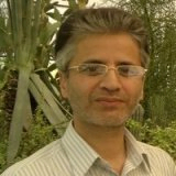 جمشید نجف پور جمشید نجف پور