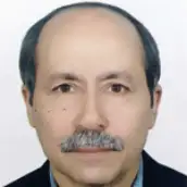 پروفسور ناصر مهدوی شهری استاد،دانشگاه فردوسی مشهد پروفسور ناصر مهدوی شهری استاد،دانشگاه فردوسی مشهد