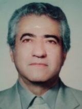  محمد سیفی استادیار، دانشگاه اراک