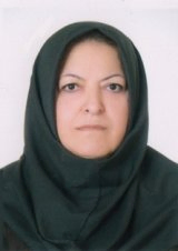 دکتر ویدا شقاقی استاد تمام گروه زبان شناسی دانشگاه علامه طباطبایی دکتر ویدا شقاقی استاد تمام گروه زبان شناسی دانشگاه علامه طباطبایی