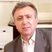 دکتر ابوالحسن وفائی استاد مهندسی عمران، دانشگاه صنعتی شریف