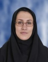 دکتر بنفشه زهرایی دانشیار دانشکده مهندسی عمران دانشگاه تهران دکتر بنفشه زهرایی دانشیار دانشکده مهندسی عمران دانشگاه تهران