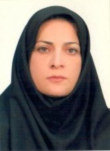 دکتر مریلا احمدی دانشیار زبان و ادبیات روسی دانشگاه تربیت مدرس دکتر مریلا احمدی دانشیار زبان و ادبیات روسی دانشگاه تربیت مدرس