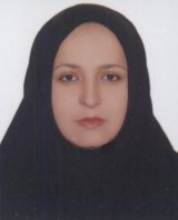 نرگس صالح نیا استادیار و عضو هیئت علمی دانشگاه فردوسی مشهد نرگس صالح نیا استادیار و عضو هیئت علمی دانشگاه فردوسی مشهد
