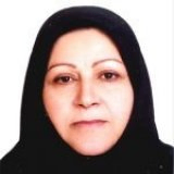  شهناز دانش مدیرگروه آموزشی مهندسی عمران دانشگاه فردوسی مشهد
