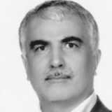  محمد وزین کریمیان استادیار مدیریت، دانشگاه علوم قضایی و خدمات اداری، تهران