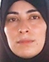 دکتر فرح فراهانی دانشیار، دانشگاه آزاد اسلامی، واحد قم، قم، ایران. دکتر فرح فراهانی دانشیار، دانشگاه آزاد اسلامی، واحد قم، قم، ایران.