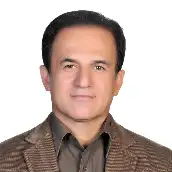 دکتر علیرضا شکوهی استاد دکتر علیرضا شکوهی استاد