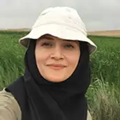 دکتر سارا کیانی دکتر سارا کیانی