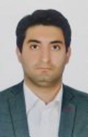 دکتر سید علی رضویان امرئی دانشیار گروه عمران دانشگاه پیام نور