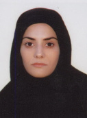 محبت محبی محبت محبی