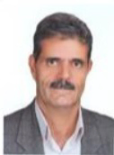 دکتر حسین میرزایی علویجه دکتر حسین میرزایی علویجه
