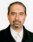 دکتر ناصر خاجی استاد دانشکده مهندسی عمران و محیط زیست دانشگاه تربیت مدرس