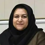 دکتر نسیم مجیدی قهرودی هیات علمی، دانشکده علوم ارتباطات و مطالعات رسانه، دانشگاه آزاد اسلامی واحد تهران مرکزی