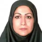دکتر هانیه نیکخواه دانشگاه هنر ایران دکتر هانیه نیکخواه دانشگاه هنر ایران
