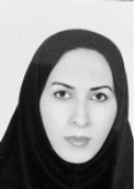 دکتر صدیقه اسلامی استادیار دکتر صدیقه اسلامی استادیار