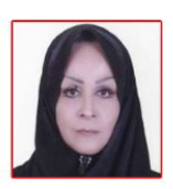 دکتر نجمه حمید دانشیار گروه روانشناسی، دانشکده علوم تربیتی و روانشناسی، دانشگاه شهید چمران اهواز، اهواز، ایران دکتر نجمه حمید دانشیار گروه روانشناسی، دانشکده علوم تربیتی و روانشناسی، دانشگاه شهید چمران اهواز، اهواز، ایران