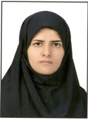 دکتر هاجر احمدی مقدم استادیار مهندسی متالورژی و مواد دانشکده فنی و مهندسی دانشگاه شهرکرد دکتر هاجر احمدی مقدم استادیار مهندسی متالورژی و مواد دانشکده فنی و مهندسی دانشگاه شهرکرد