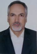 دکتر محمدرضا پیرهادی استادیار