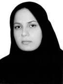 دکتر خدیجه محمودی احمدابادی استادیار گروه فنی و مهندسی دانشگاه اردکان دکتر خدیجه محمودی احمدابادی استادیار گروه فنی و مهندسی دانشگاه اردکان