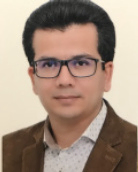 دکتر وحید اربابی استادیار گروه مهندسی دانشگاه بیرجند