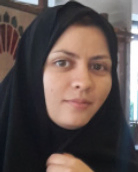 دکتر فهیمه حبیبی استادیار گروه دانشکده فنی فردوس دانشگاه بیرجند دکتر فهیمه حبیبی استادیار گروه دانشکده فنی فردوس دانشگاه بیرجند