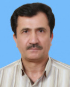 دکتر حسن حسن زاده دانشیار گروه مهندسی دانشگاه بیرجند دکتر حسن حسن زاده دانشیار گروه مهندسی دانشگاه بیرجند