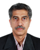 دکتر سید ناصر رئیس السادات استاد گروه علوم دانشگاه بیرجند