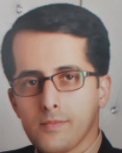 دکتر علی سعیدی استادیار گروه مهندسی دانشگاه بیرجند