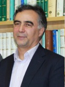 دکتر حسن کریمیان استاد  دانشگاه تهران
