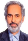 دکتر محمود بیجن خان استاد زبان شناسی ، دانشکده زبان ها و ادبیات خارجی ، دانشگاه تهران ،