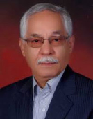 دکتر حسن همتی استادیار، عضو هیات علمی مرکز آموزش عالی پرندک 