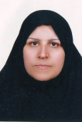 دکتر خدیجه حاجیان استادیار مرکز تحقیقات زبان و ادبیات فارسی دانشگاه تربیت مدرس دکتر خدیجه حاجیان استادیار مرکز تحقیقات زبان و ادبیات فارسی دانشگاه تربیت مدرس